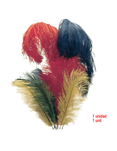 1 Ostrich feather for hooves