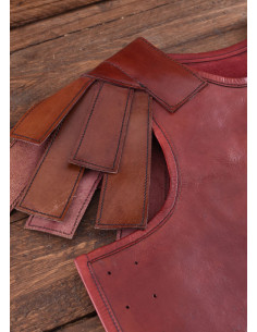 Roman subarmalia in reddish-brown leather 2