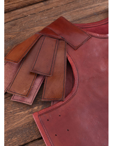 Roman subarmalis in reddish-brown...