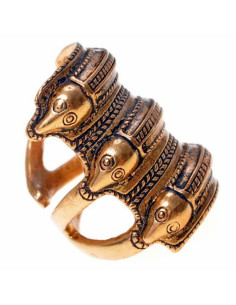 Scandinavian Iron Age Ring in Segerstad