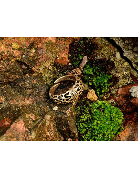 Viking ring Falster Orupgaard Denmark