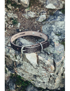 Celtic Seal Dog Collar, Dark Brown 2