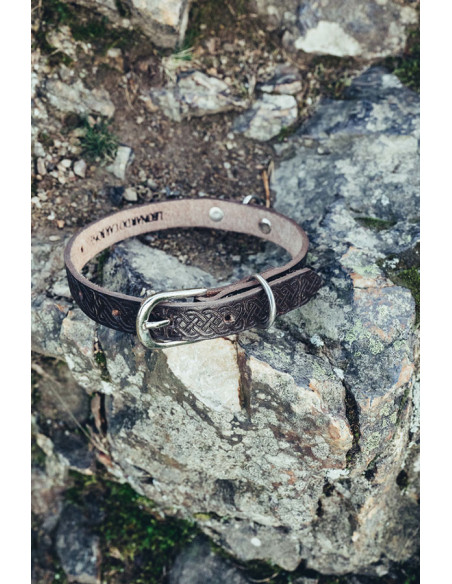 Celtic Seal Dog Collar, Dark Brown