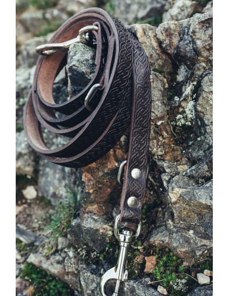 Ferris dog leash set + Maddox collar