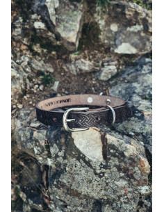 Ferris dog leash set + Maddox collar 2