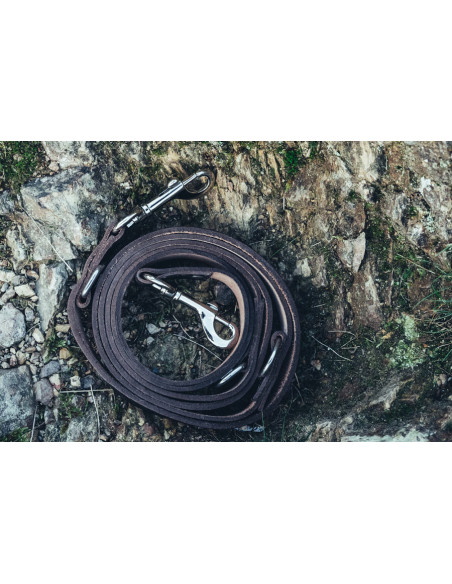 Ferris dog leash set + Maddox collar