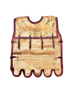 Roman Lorica Squamata with brass scales 2