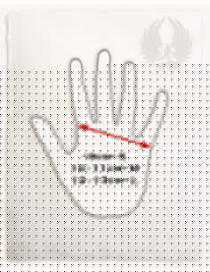 Robin goalkeeper glove for right hand, 1 piece 2