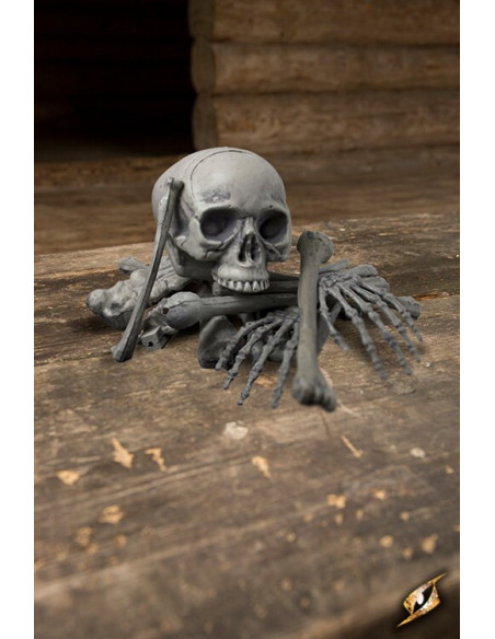 Human bones, 18 pieces