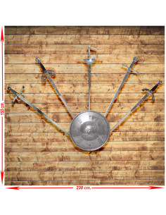Panoply (1) with five real and historical medieval swords with shield