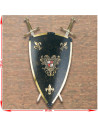 Medieval Panoply 2 Swords + Charles V Shield