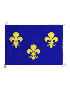 Banner-flag of France before the Revolution (70x100 cms.)