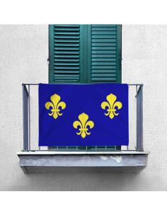 Banner-flag of France before the Revolution (70x100 cms.) 2