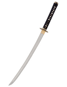 Wakizashi John Lee Dragon model