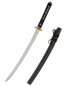 Wakizashi John Lee Dragon model 2