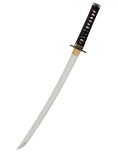 Wakizashi Iaito John Lee model Zaza