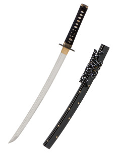 Wakizashi Iaito John Lee model Zaza 2