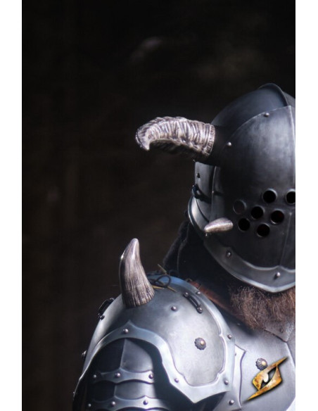 Full armor Marauder universe Ruinous...