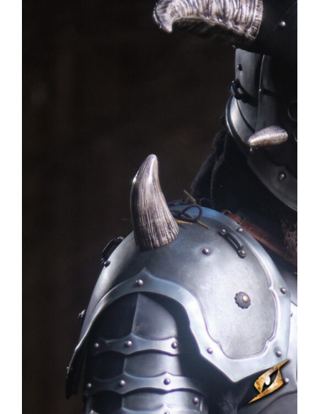 Full armor Marauder universe Ruinous...