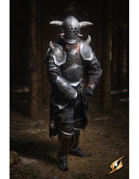 Full armor Marauder universe Ruinous...