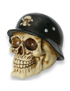 Tole10 resin skull model Bones