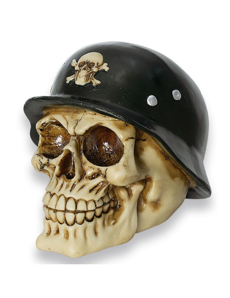 Tole10 resin skull model Bones