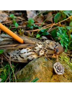 Tudor Rose English Medieval Earrings, 16th Century 2