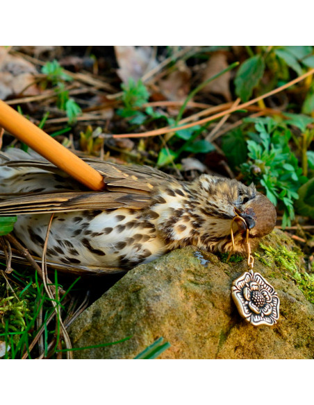 Tudor Rose English Medieval Earrings,...