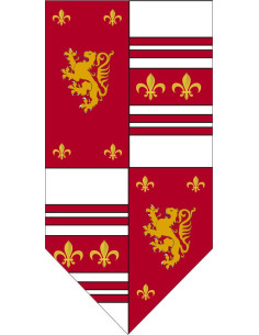 Medieval banner quartered with lion rampant and fleur de lis