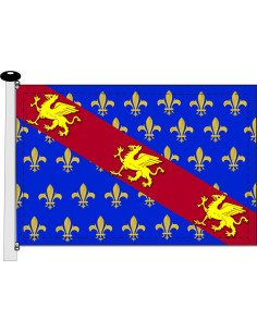 Blue-Yellow Medieval Flag Dragons with Fleur-de-lis