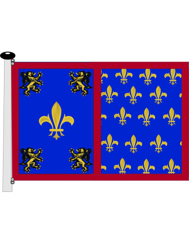 Blue-Yellow Medieval Flag Rampant Lions with Fleur-de-lis