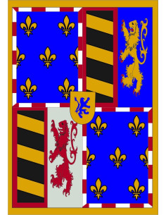 Medieval banner quartered game lions, fleur de lis and bands