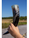 Viking horn Jörmungandr