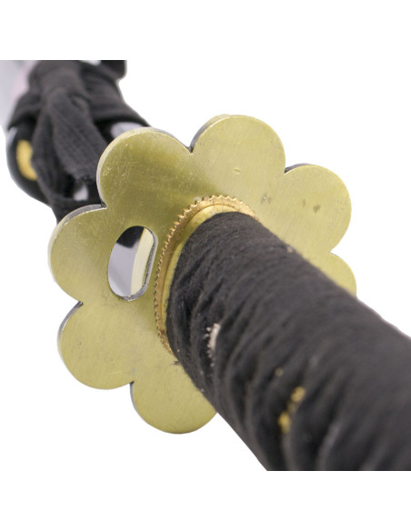 Basic Practice Katana Shusui Zoro One...