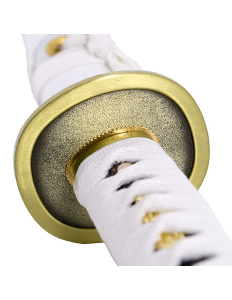 Basic Practice Katana Shusui Wado... Basic Practice Katana Shusui Wado...