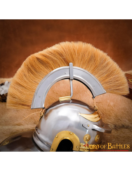 Roman centurion helmet with brown plume
