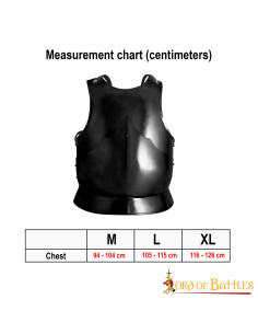 Gothic Cuirass Blackened Mild Steel 2