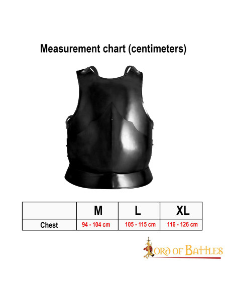 Gothic Cuirass Blackened Mild Steel