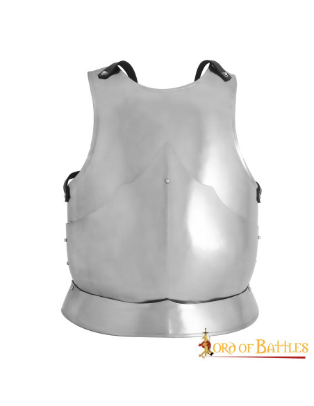 Gothic cuirass polished mild steel