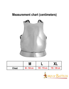 Gothic cuirass polished mild steel 2