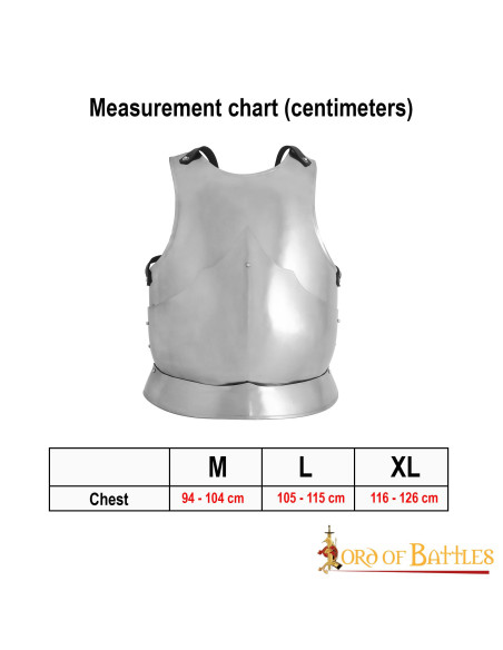 Gothic cuirass polished mild steel