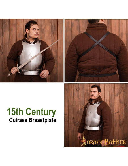 Gothic cuirass polished mild steel
