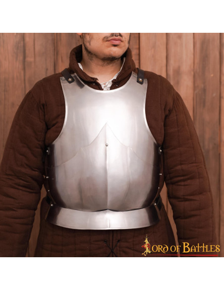 Gothic cuirass polished mild steel