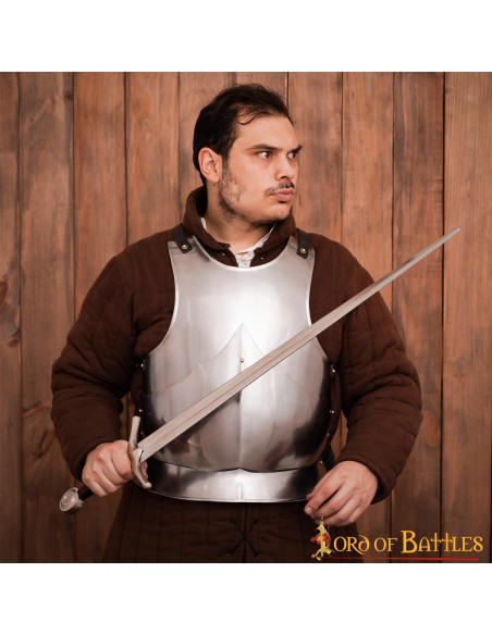 Gothic cuirass polished mild steel