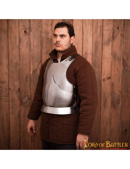 Gothic cuirass polished mild steel