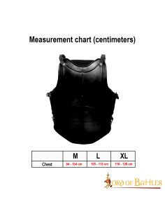 Classic Cuirass Fantasy four plates, blackened steel 2