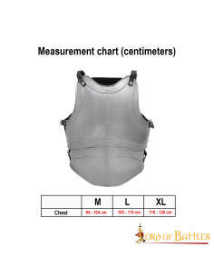 Classic Cuirass Fantasy four plates, polished steel 2