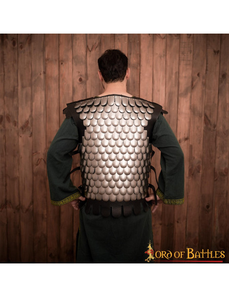Viking armor of leather and scales LARP