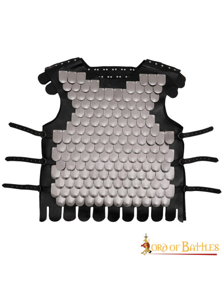 Viking armor of leather and scales LARP