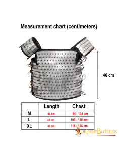 Visby scale lamellar viking armor 2